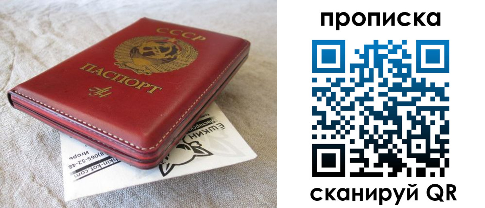 прописка для школы в Волоколамске